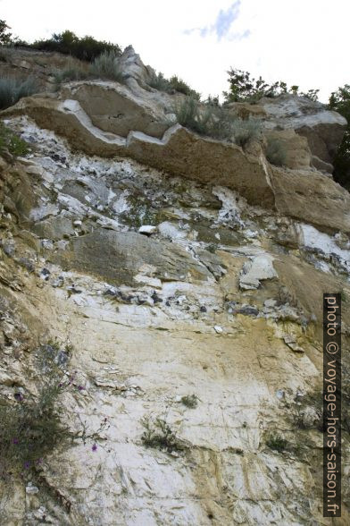 Détail des couches de craie à Stevns Klint. Photo © Alex Medwedeff