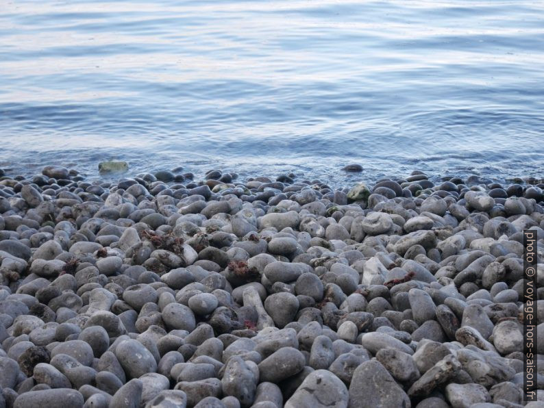 Galets à la plage de Stevns Klint. Photo © Nicolas Medwedeff