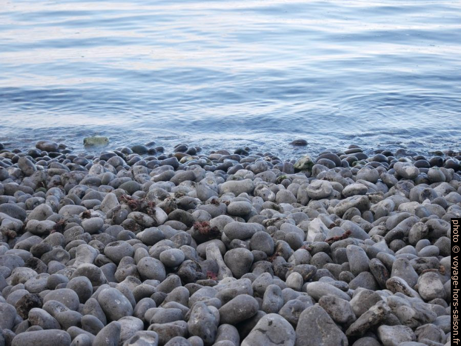 Galets à la plage de Stevns Klint. Photo © Nicolas Medwedeff