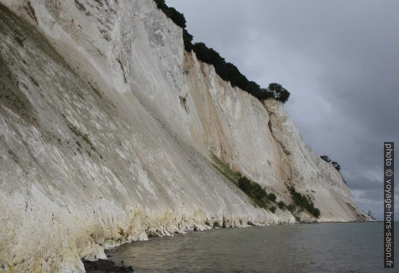 Møns Klint au nord de Magelevandsnakke. Photo © Alex Medwedeff