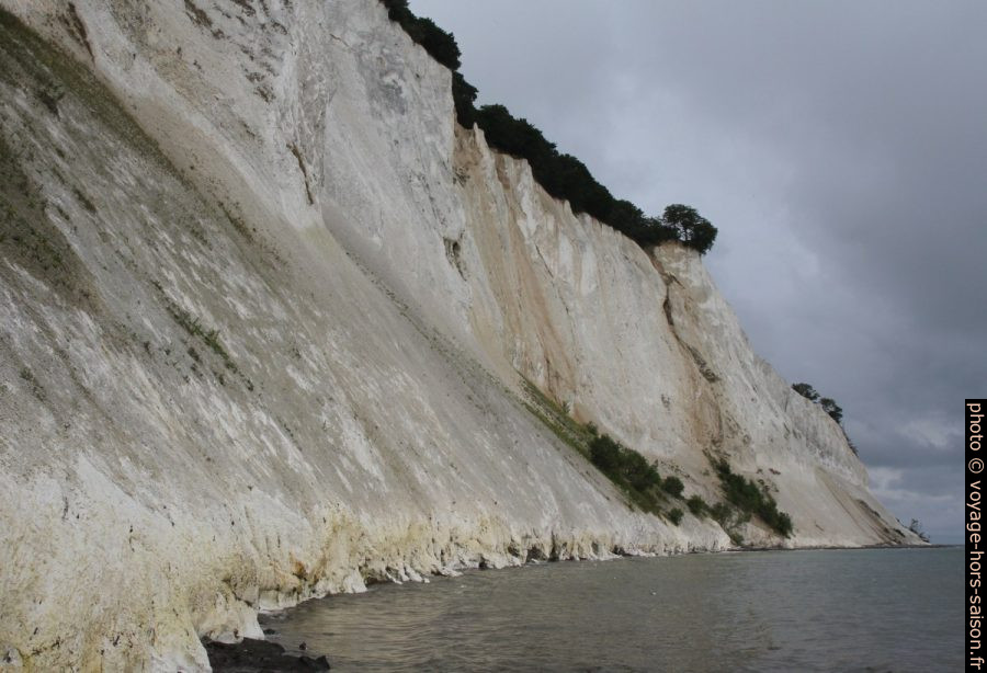 Møns Klint au nord de Magelevandsnakke. Photo © Alex Medwedeff
