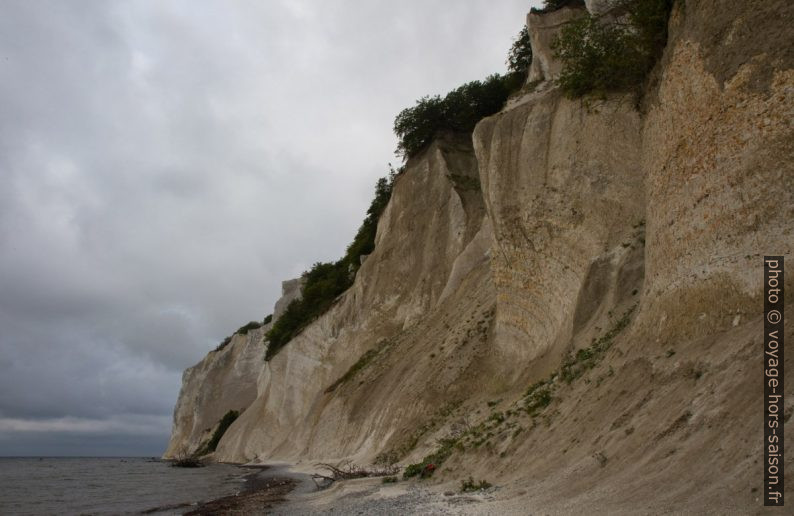 Plage de craie de Møns Klint au Freuchens Pynt. Photo © Alex Medwedeff