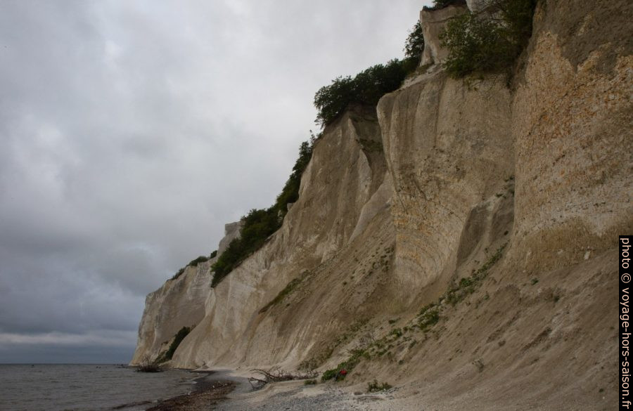 Plage de craie de Møns Klint au Freuchens Pynt. Photo © Alex Medwedeff