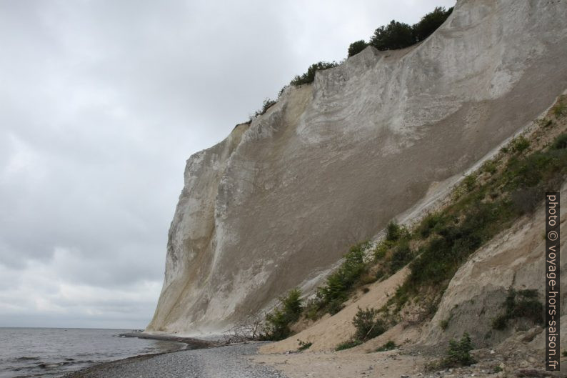 Falaise de craie plus compacte à Møns Klint. Photo © Alex Medwedeff