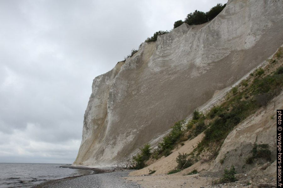 Falaise de craie plus compacte à Møns Klint. Photo © Alex Medwedeff