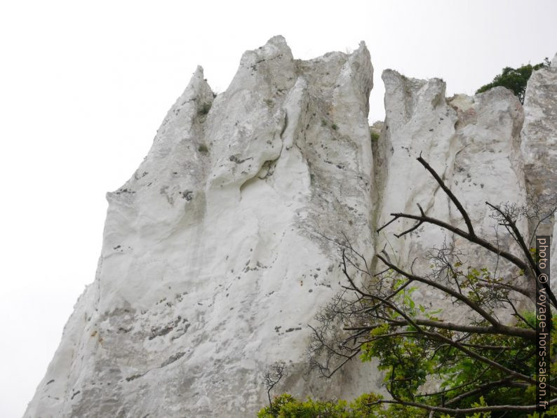 Pointes de craie plus dure à Møns Klint. Photo © Nicolas Medwedeff