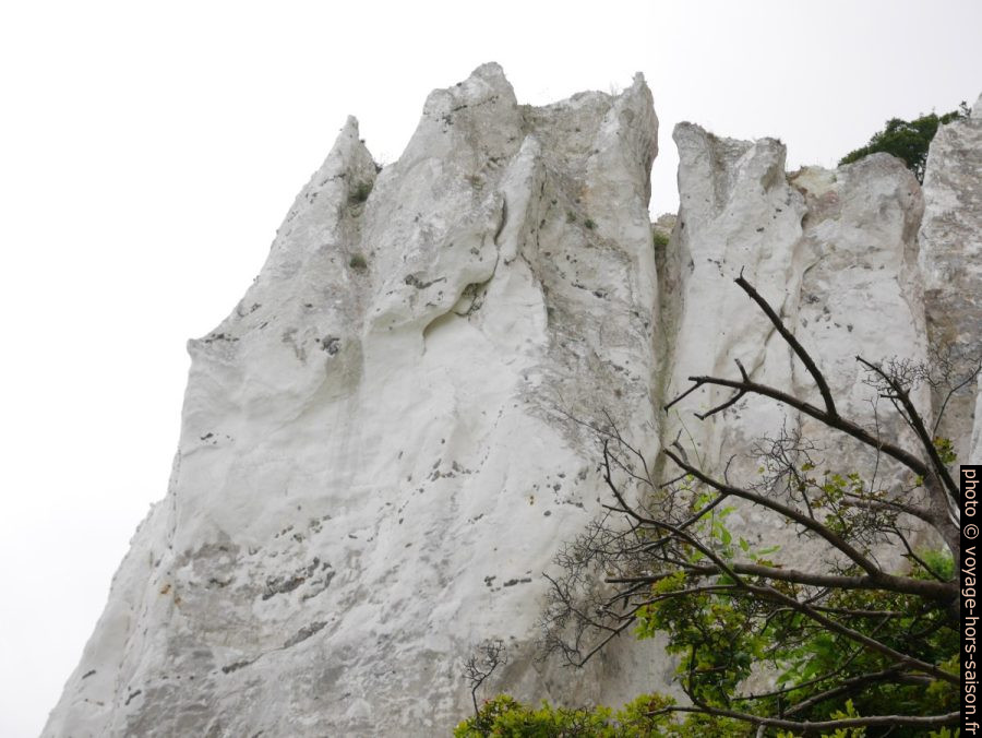 Pointes de craie plus dure à Møns Klint. Photo © Nicolas Medwedeff