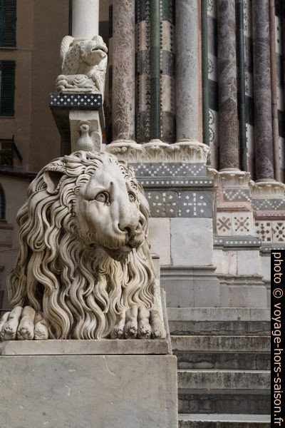 Lion gauche de la Cathédrale San Lorenzo de Gênes. Photo © Alex Medwedeff