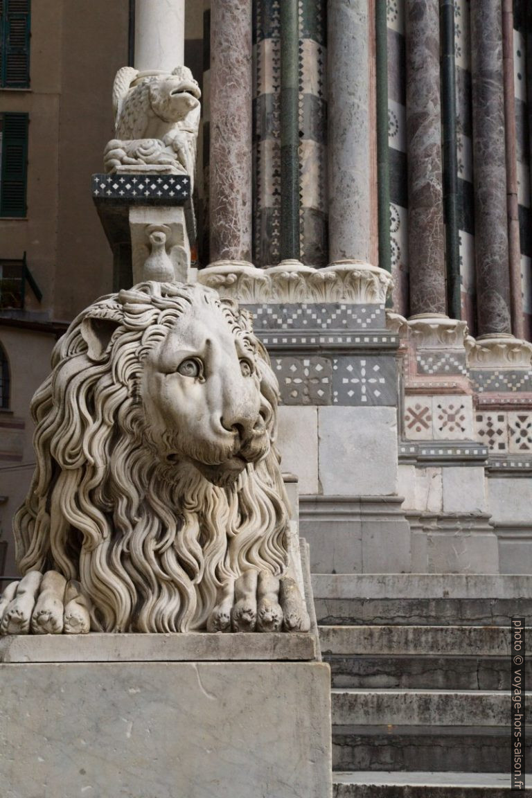 Lion gauche de la Cathédrale San Lorenzo de Gênes. Photo © Alex Medwedeff
