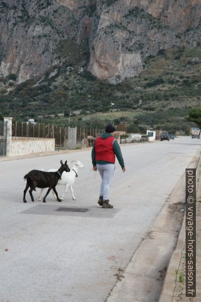 Homme avec deux chèvres sur la route. Photo © Alex Medwedeff