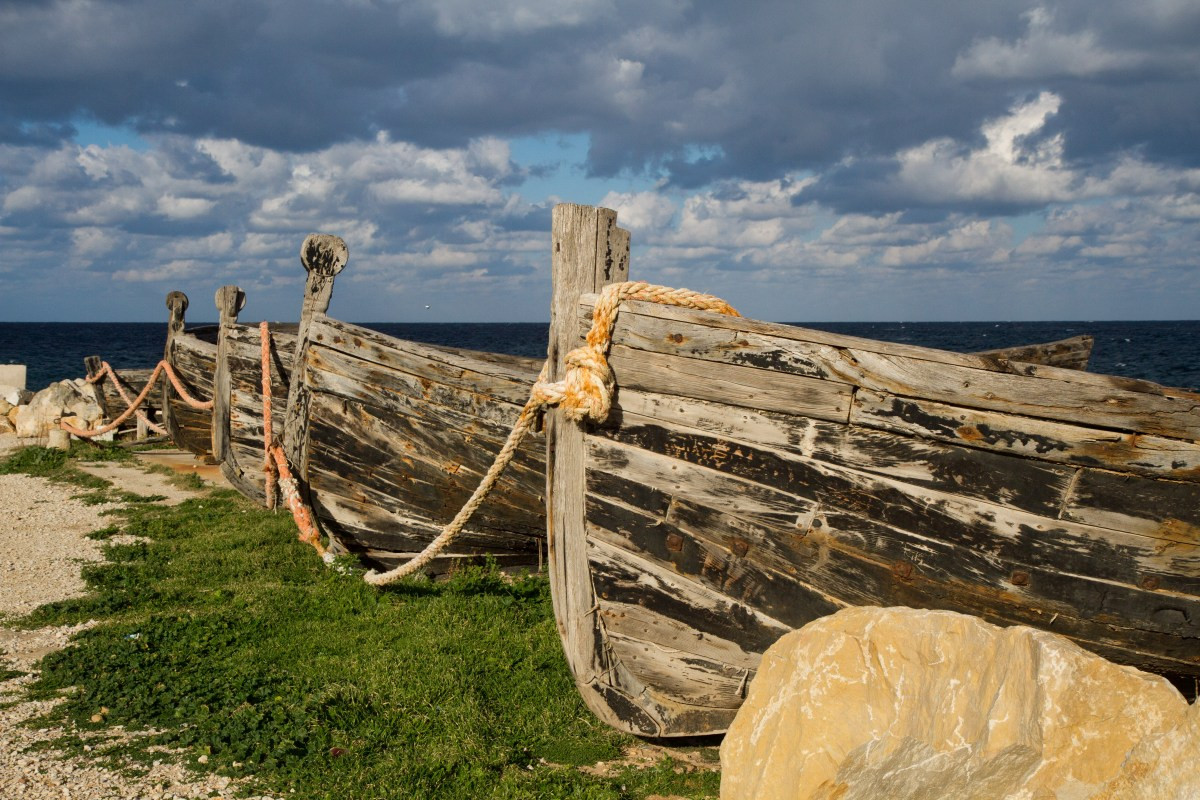 Proues d'anciennes barques de pêche au thon. Photo © Alex Medwedeff