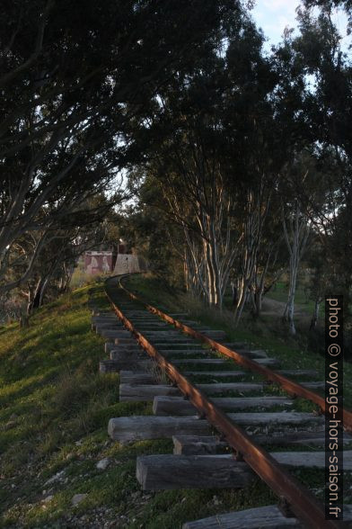 Rails de la voie ferrée à voie étroite de la ligne Castelvetrano à Porto Empedocle. Photo © André M. Winter