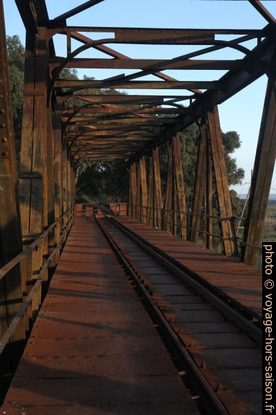 Ancien pont sur le Foce Belice de l'ancienne ligne Castelvetrano - Porto Empedocle. Photo © Alex Medwedeff