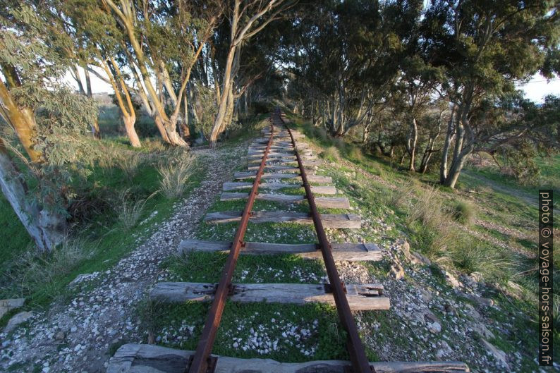 Rails tordus de la ligne délaissée de Castelvetrano à Porto Empedocle. Photo © André M. Winter