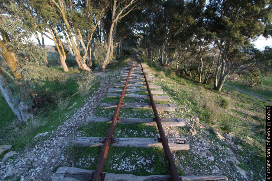 Rails tordus de la ligne délaissée de Castelvetrano à Porto Empedocle. Photo © André M. Winter
