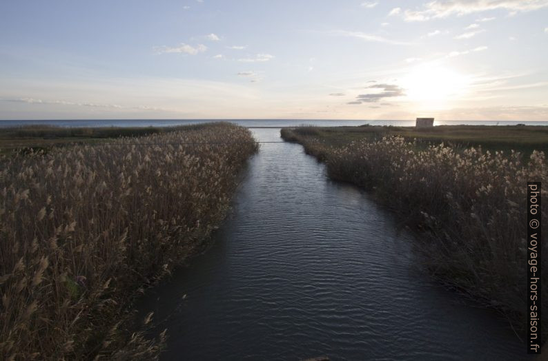 Foce del Fiume Belìce. Photo © André M. Winter