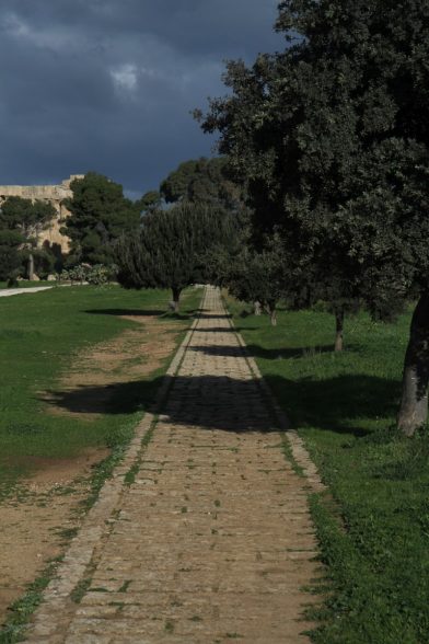Ancien chemin pavé entre les ruines de Selinunte. Photo © Alex Medwedeff
