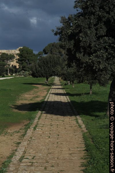 Ancien chemin pavé entre les ruines de Selinunte. Photo © Alex Medwedeff