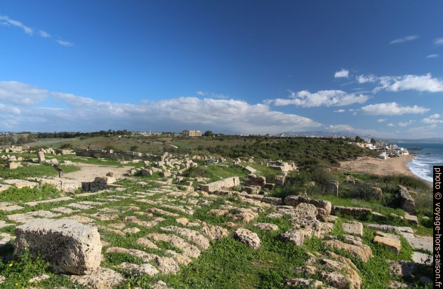 Vue de l'Acropole vers la colline orientale de Sélinonte. Photo © André M. Winter
