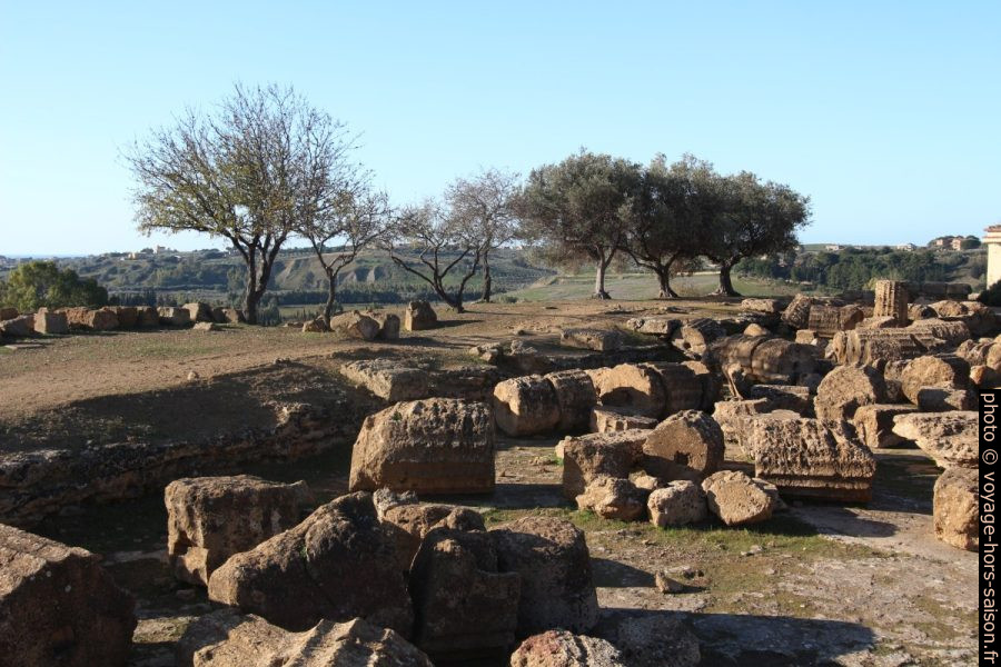 Talus près de la Porta Quinta et tambours de colonnes du Temple L. Photo © André M. Winter