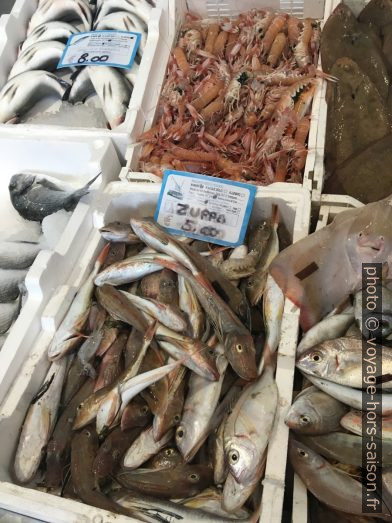 Poissons en vente dans une poissonnerie. Photo © Alex Medwedeff