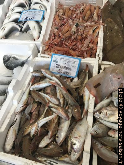 Poissons en vente dans une poissonnerie. Photo © Alex Medwedeff