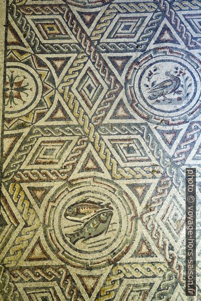 Une partie de la mosaïque des 4 saisons dans la Villa romaine du Casale. Photo © Alex Medwedeff