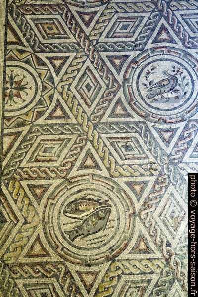 Une partie de la mosaïque des 4 saisons dans la Villa romaine du Casale. Photo © Alex Medwedeff