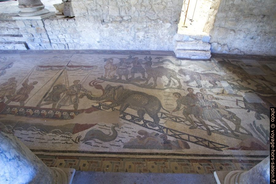 Mosaïque du transport d'un éléphant vivant sur un navire dans la Villa du Casale. Photo © André M. Winter
