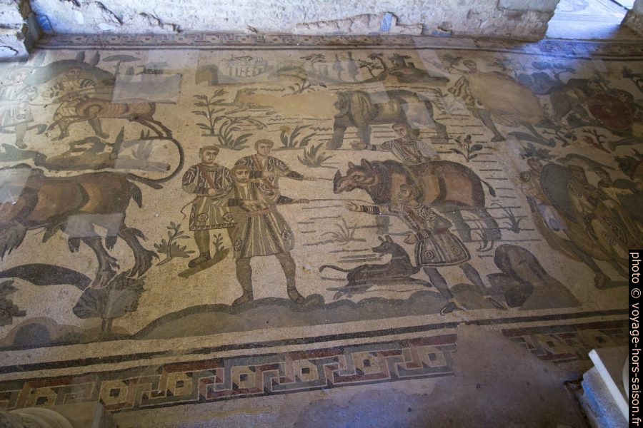 Mosaïque de la capture d'un rhinocéros vivant dans la Villa du Casale. Photo © André M. Winter