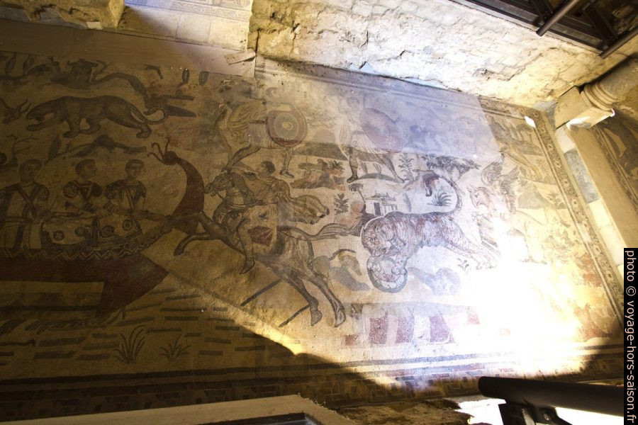 Mosaïque de la capture d'un tigre vivant dans la Villa del Casale. Photo © André M. Winter
