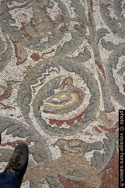 Mosaïque d'un canard dans le la cour ovoïde de la Villa del Casale. Photo © André M. Winter