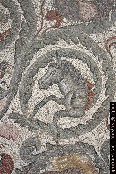 Mosaïque d'un cheval dans le xyste ovale de la Villa romaine du Casale. Photo © André M. Winter