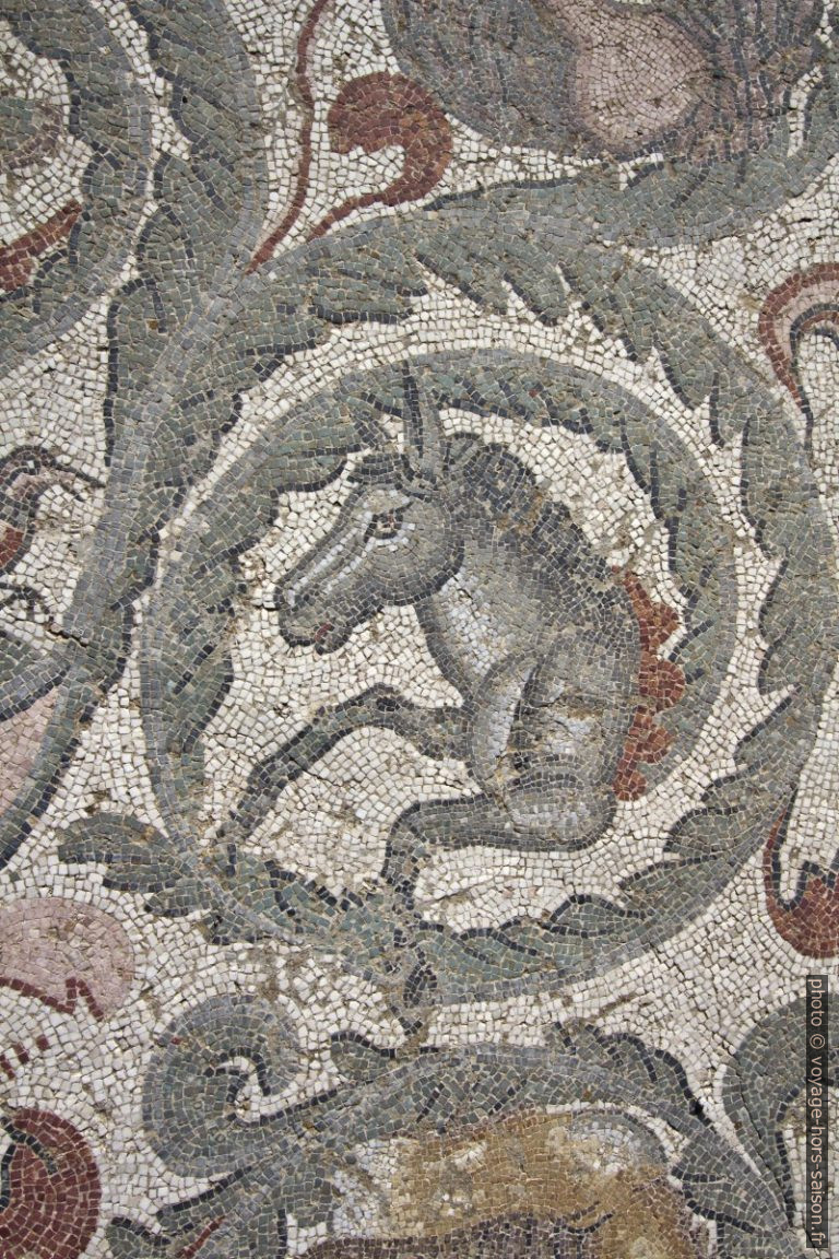 Mosaïque d'un cheval dans le xyste ovale de la Villa romaine du Casale. Photo © André M. Winter