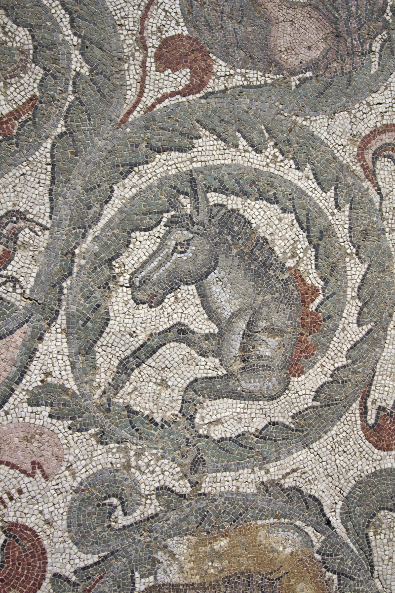 Mosaïque d'un cheval dans le xyste ovale de la Villa romaine du Casale. Photo © André M. Winter