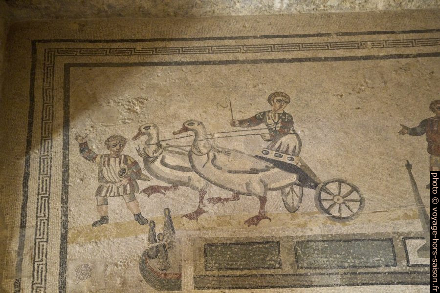 Détail du char d'oiseaux du Petit Cirque des appartements au sud de la basilique. Photo © Alex Medwedeff