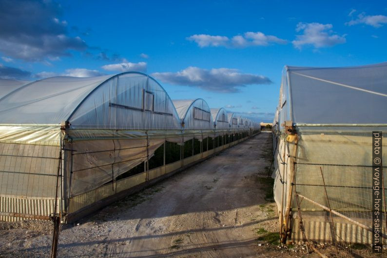 Serres en plastique au Capo Passero. Photo © Alex Medwedeff