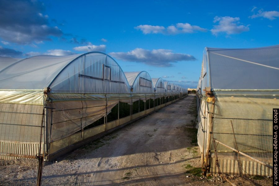 Serres en plastique au Capo Passero. Photo © Alex Medwedeff