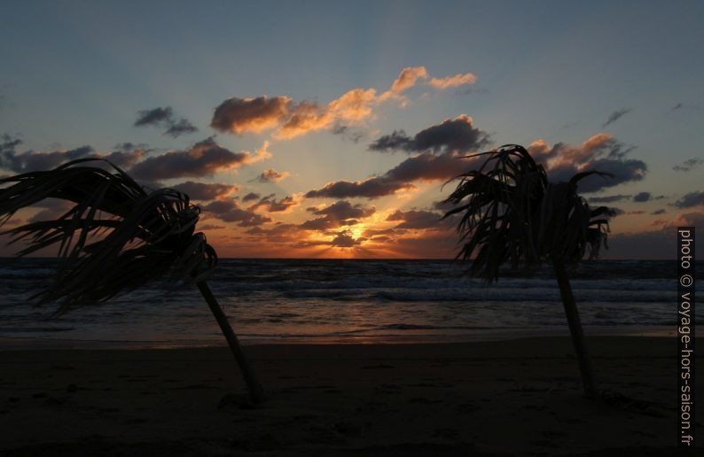 Coucher de soleil entre deux feuilles de palmier. Photo © André M. Winter