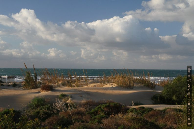 Lido Carratois le matin en hiver. Photo © Alex Medwedeff