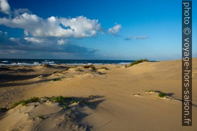 Dunes du Lido Carratois le matin en hiver. Photo © Alex Medwedeff