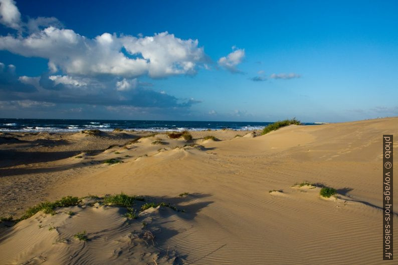 Dunes du Lido Carratois le matin en hiver. Photo © Alex Medwedeff