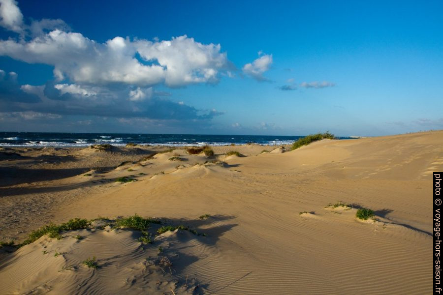 Dunes du Lido Carratois le matin en hiver. Photo © Alex Medwedeff