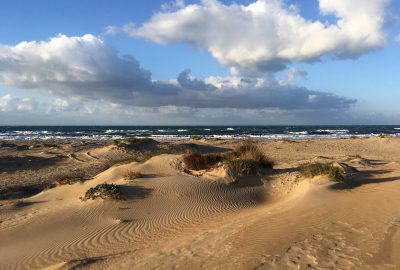 Lido Carratois et ses dunes. Photo © Alex Medwedeff