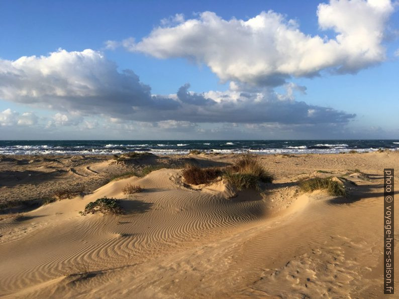 Lido Carratois et ses dunes. Photo © Alex Medwedeff