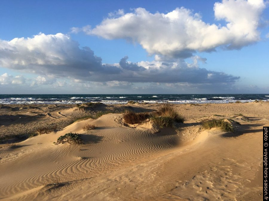 Lido Carratois et ses dunes. Photo © Alex Medwedeff