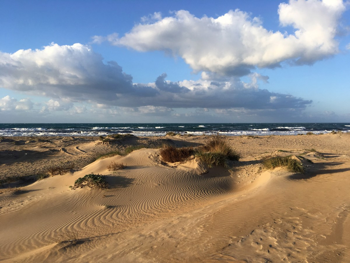 Lido Carratois et ses dunes. Photo © Alex Medwedeff
