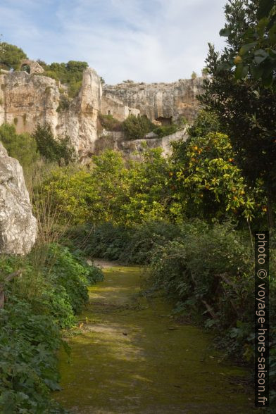 Chemin paisible dans les Latomies. Photo © Alex Medwedeff