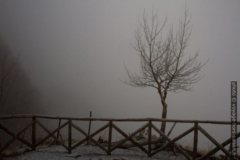 Point de vue dans le brouillard. Photo © Alex Medwedeff