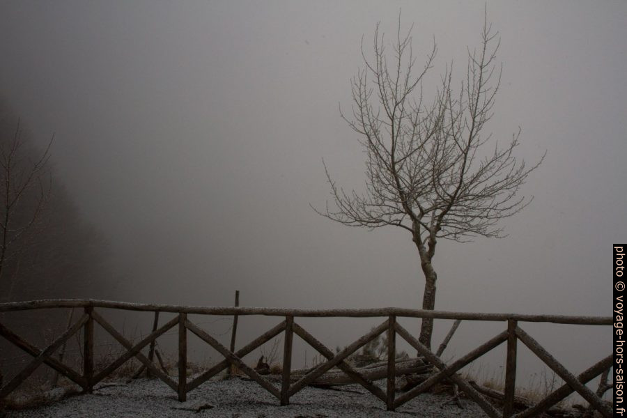 Point de vue dans le brouillard. Photo © Alex Medwedeff